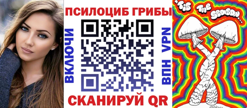 мега вход Гремячинск Псилоцибиновые грибы Psilocybine cubensis